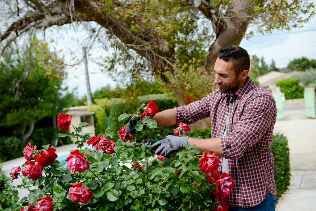 a gardener in garden