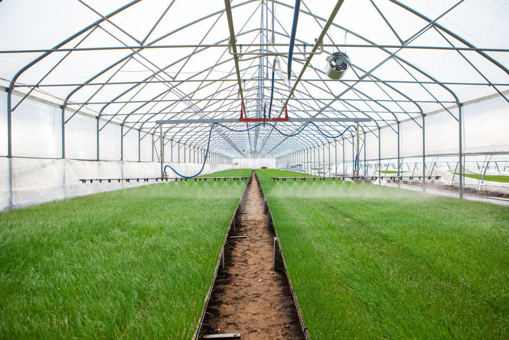 greenhouse watering system