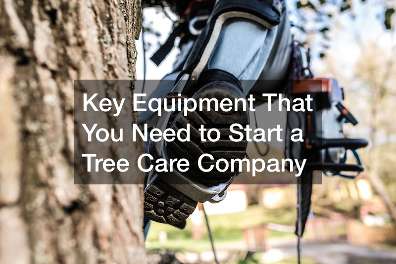 Key Equipment That You Need to Start a Tree Care Company