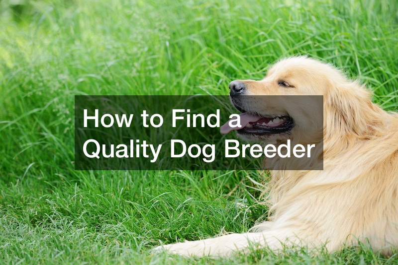 How to Find a Quality Dog Breeder