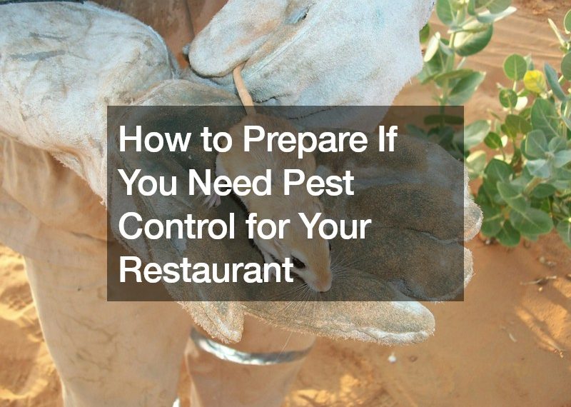 How to Prepare If You Need Pest Control for Your Restaurant
