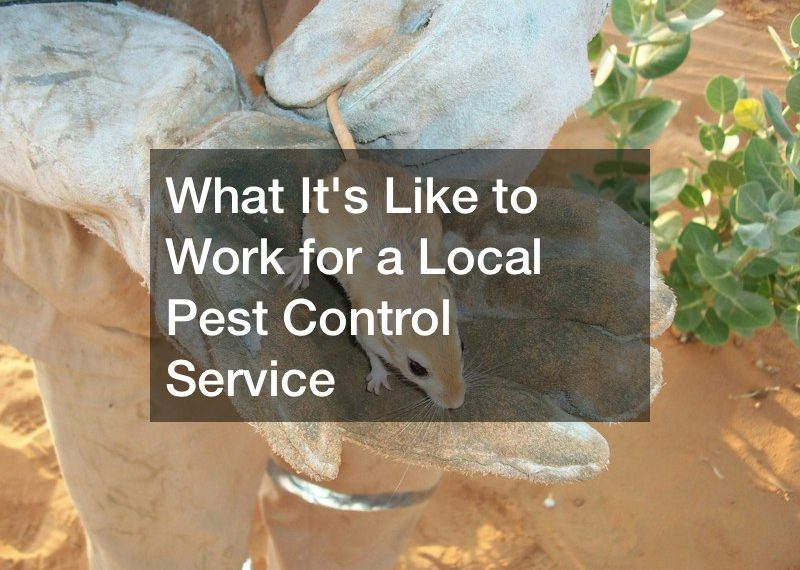 What Its Like to Work for a Local Pest Control Service